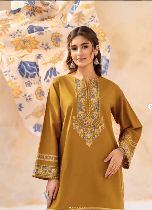 Gulshan embroidered neckline detail by Shai Noor